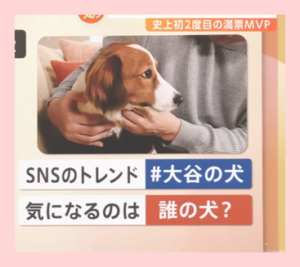 大谷翔平の犬デコピンいつから